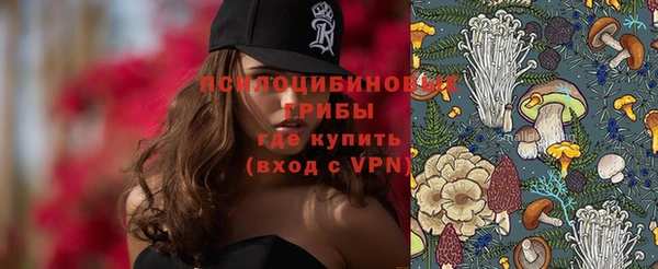 индика Магадан