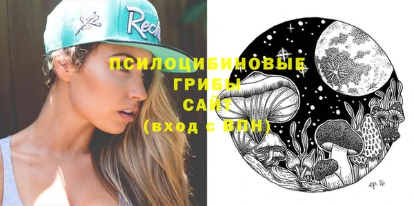 индика Магадан